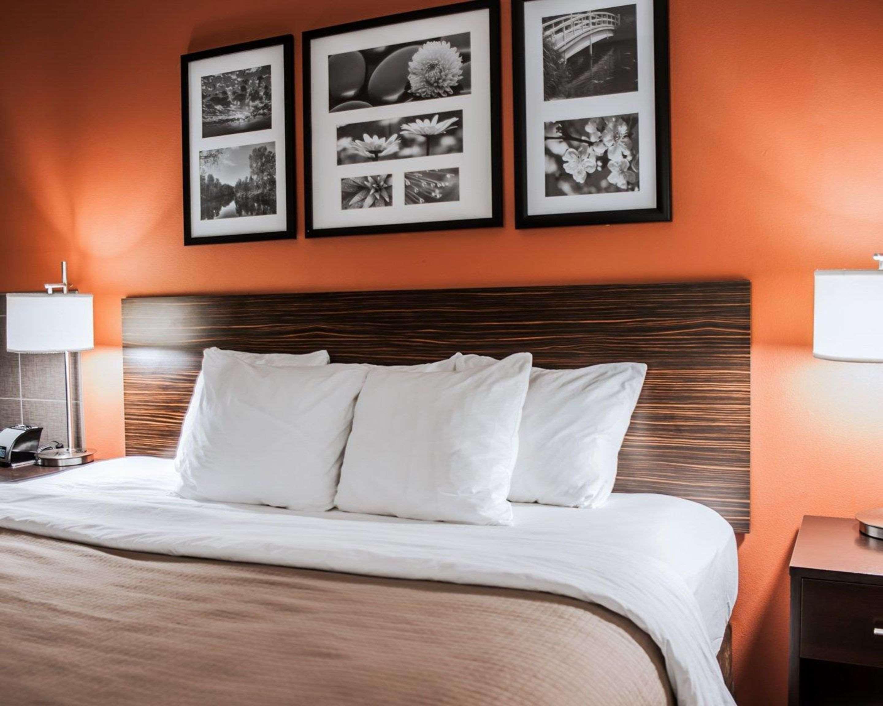 Sleep Inn & Suites Fort Campbell Oak Grove Eksteriør bilde